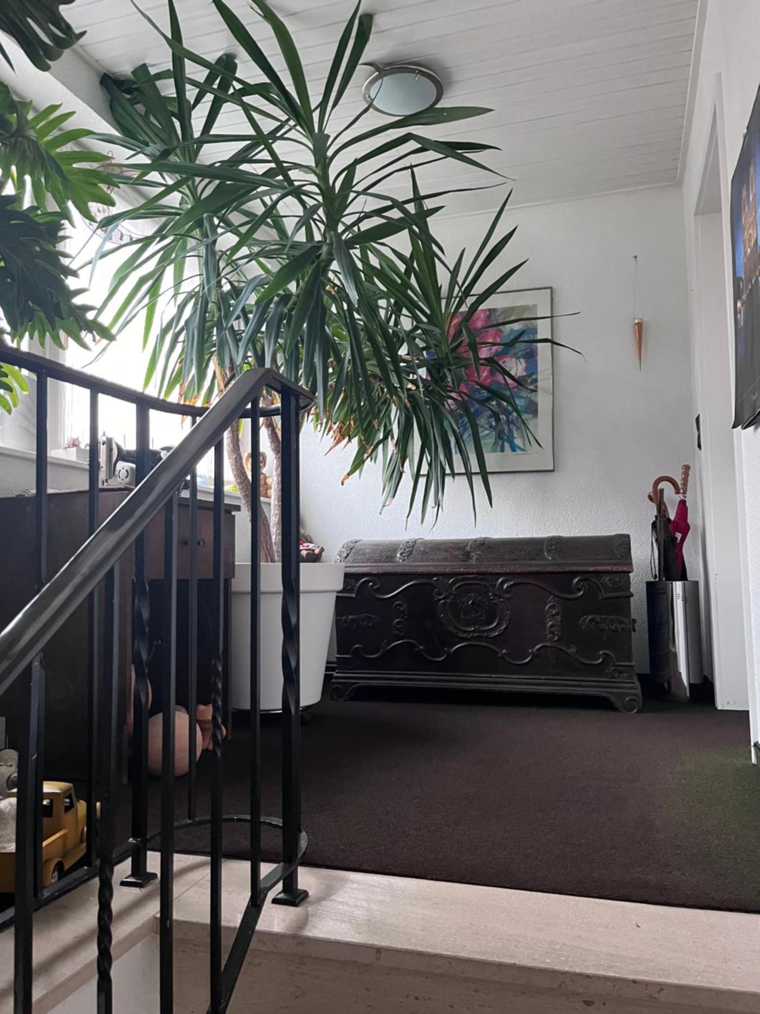 Helles Apartment Mit Balkon In Ruhiger Lage Hamelin Zewnętrze zdjęcie